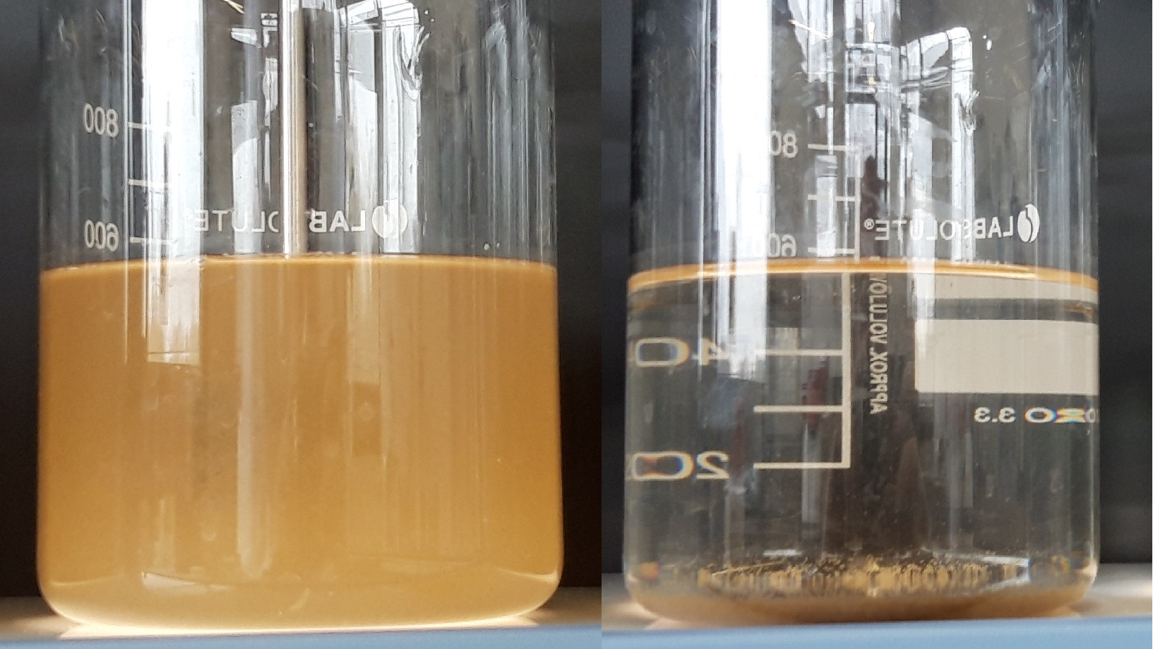 Before and after flocculation